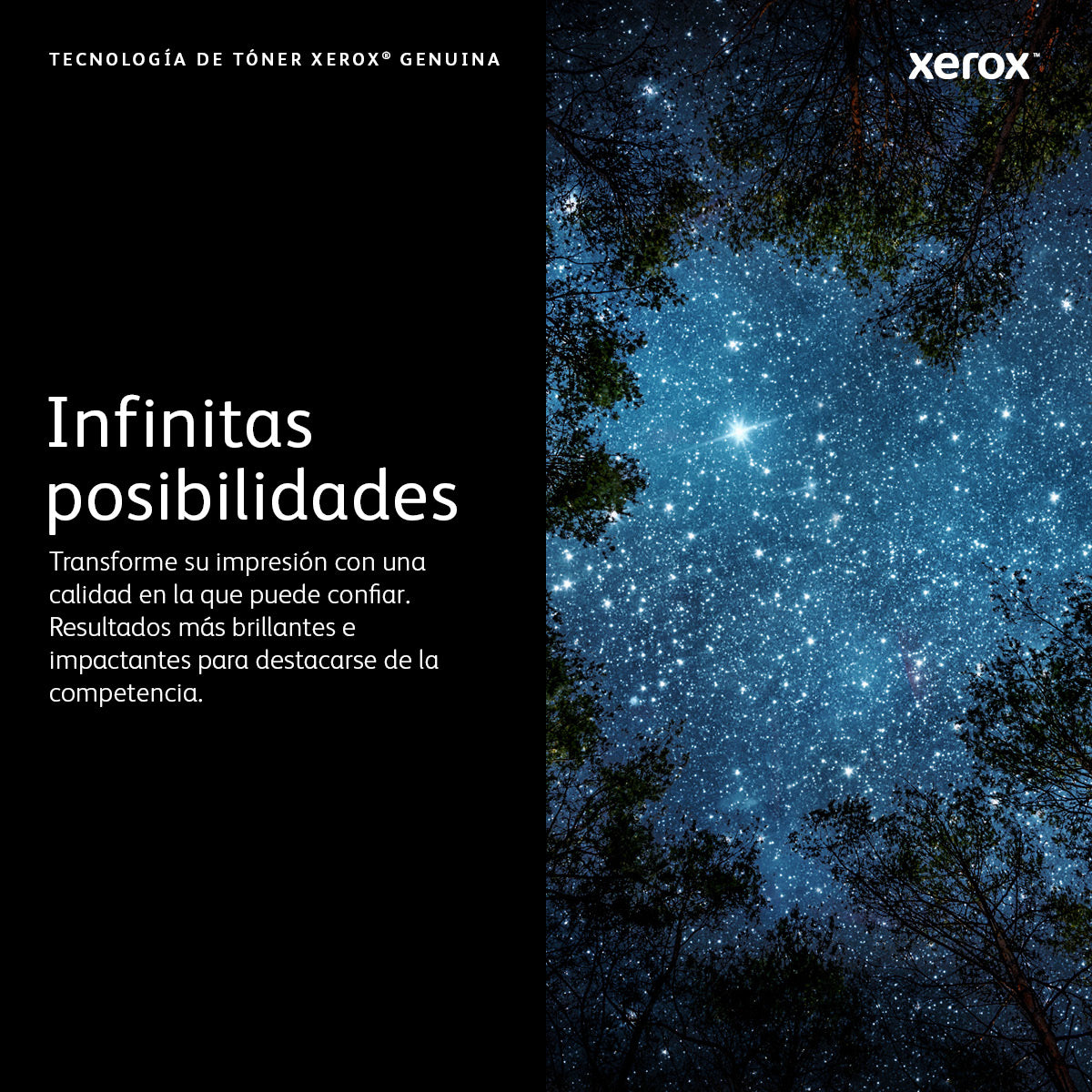 Texto alternativo de imagen