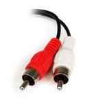 Cable mini jack 3.5mm startech 0.15m · macho - hembra