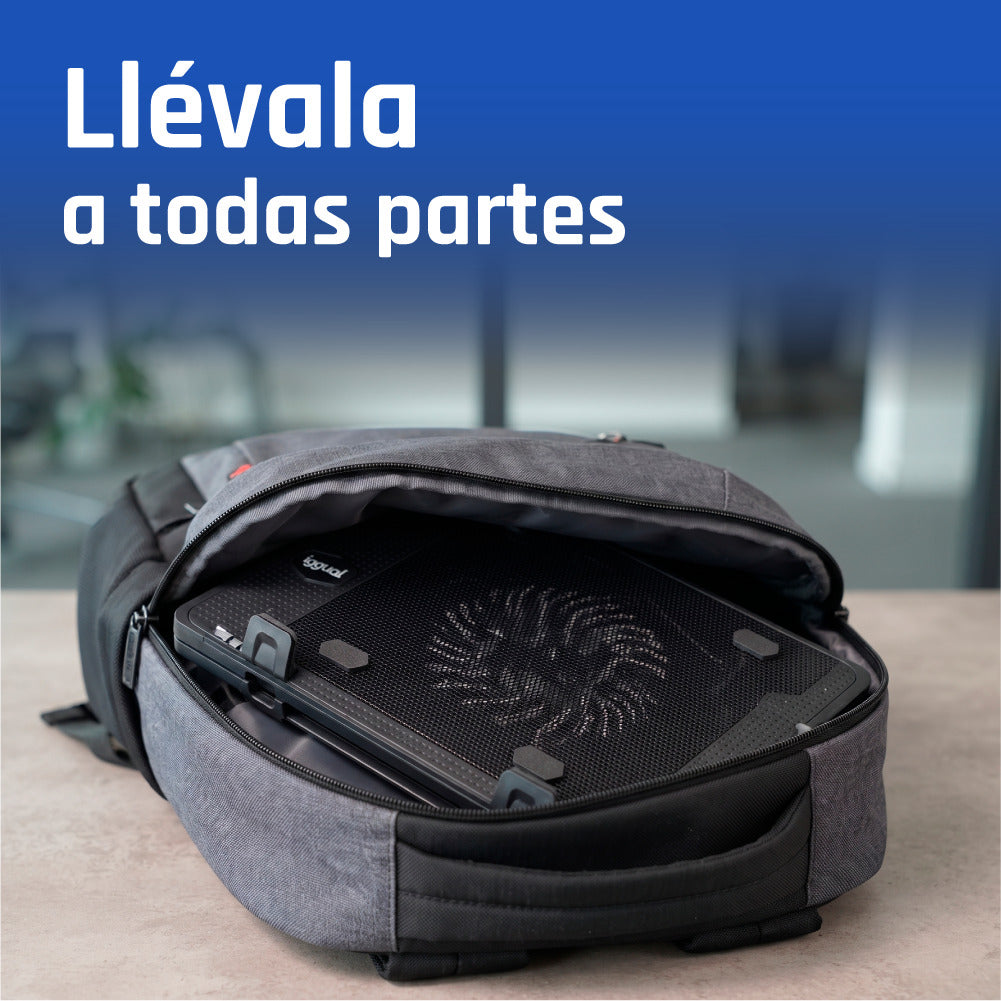 Iggual Refrigerador portátil 1 ventilador RP1V17