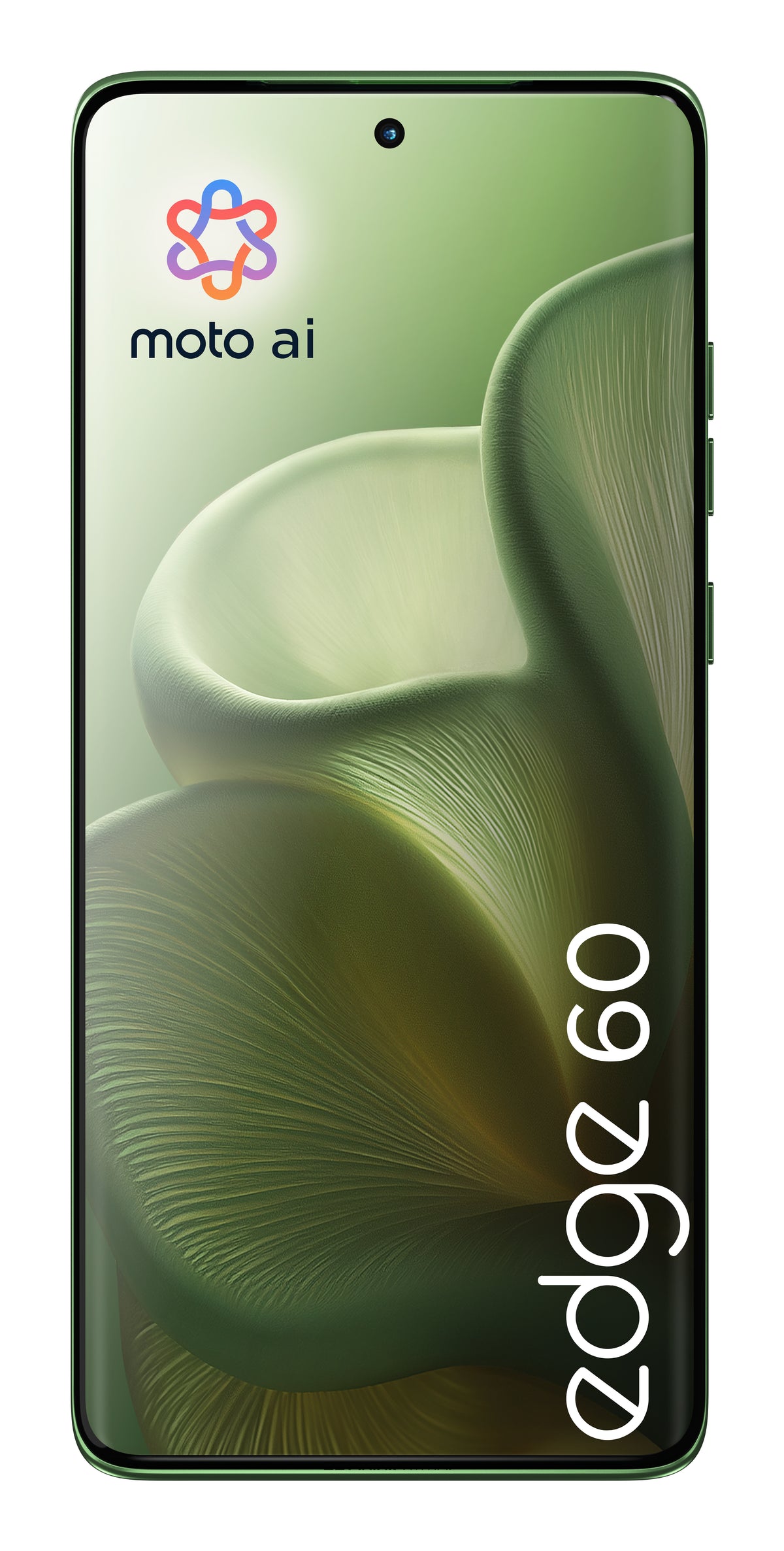 Movil Motorola moto edge 60 5G 12GB/512GB shamrock green