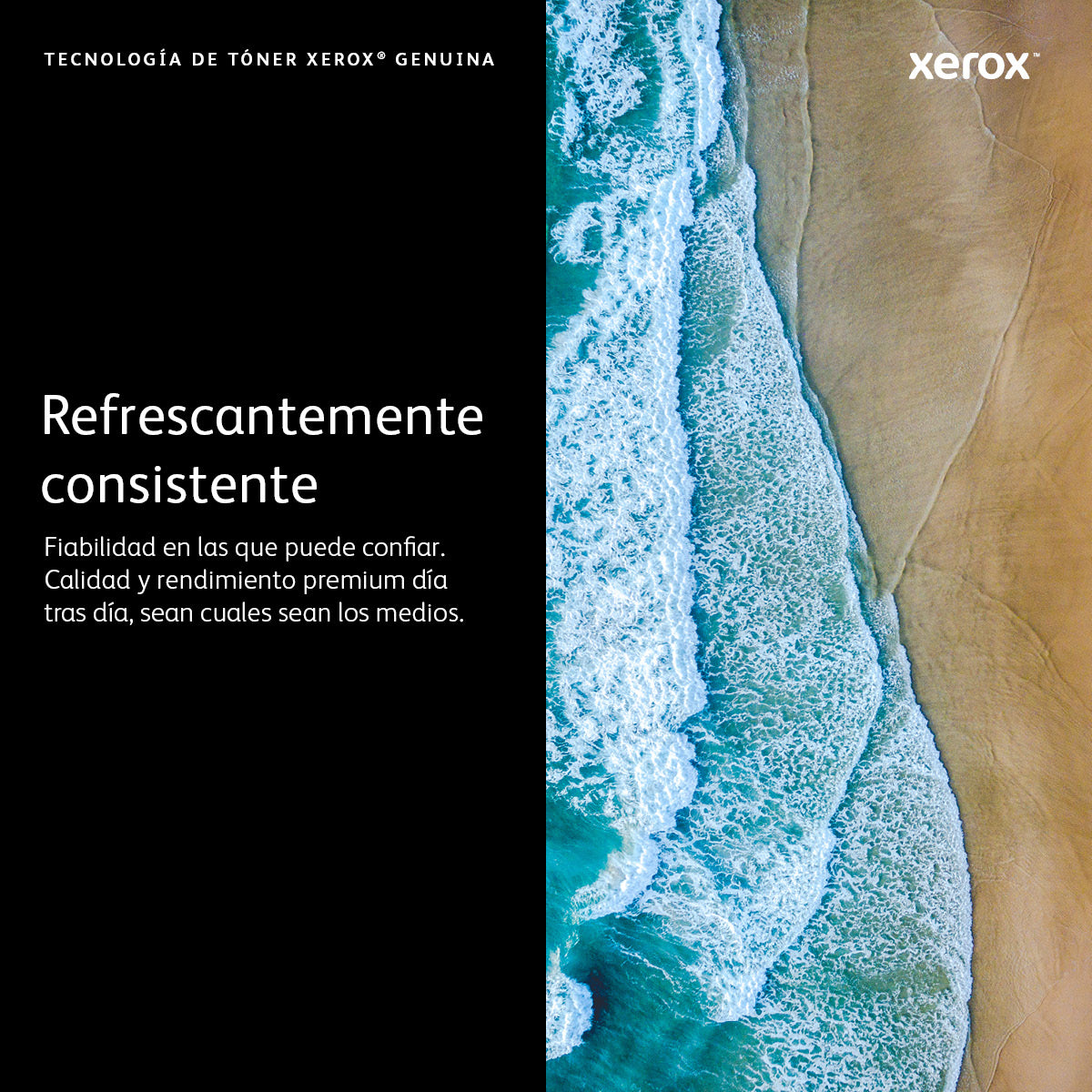 Texto alternativo de imagen
