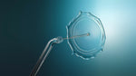 Irrigador Bucal Philips Sonicare Compact Flosser 1000 HX3333/24