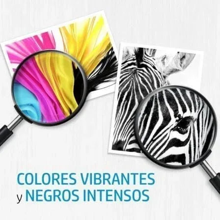 Texto alternativo de imagen