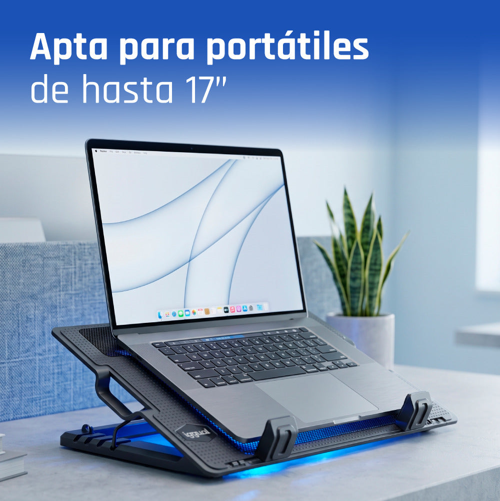 Iggual Refrigerador portátil 1 ventilador RP1V17