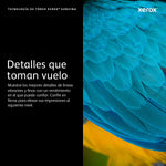 Toner Xerox versalink c400 - c405 gran capacidad magenta