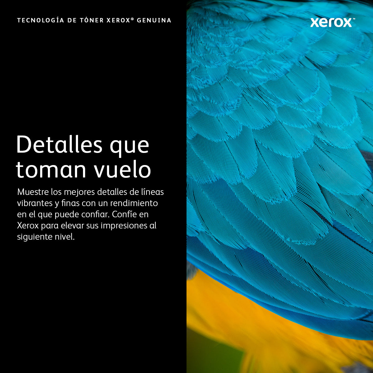 Toner Xerox versalink c400 - c405 gran capacidad magenta