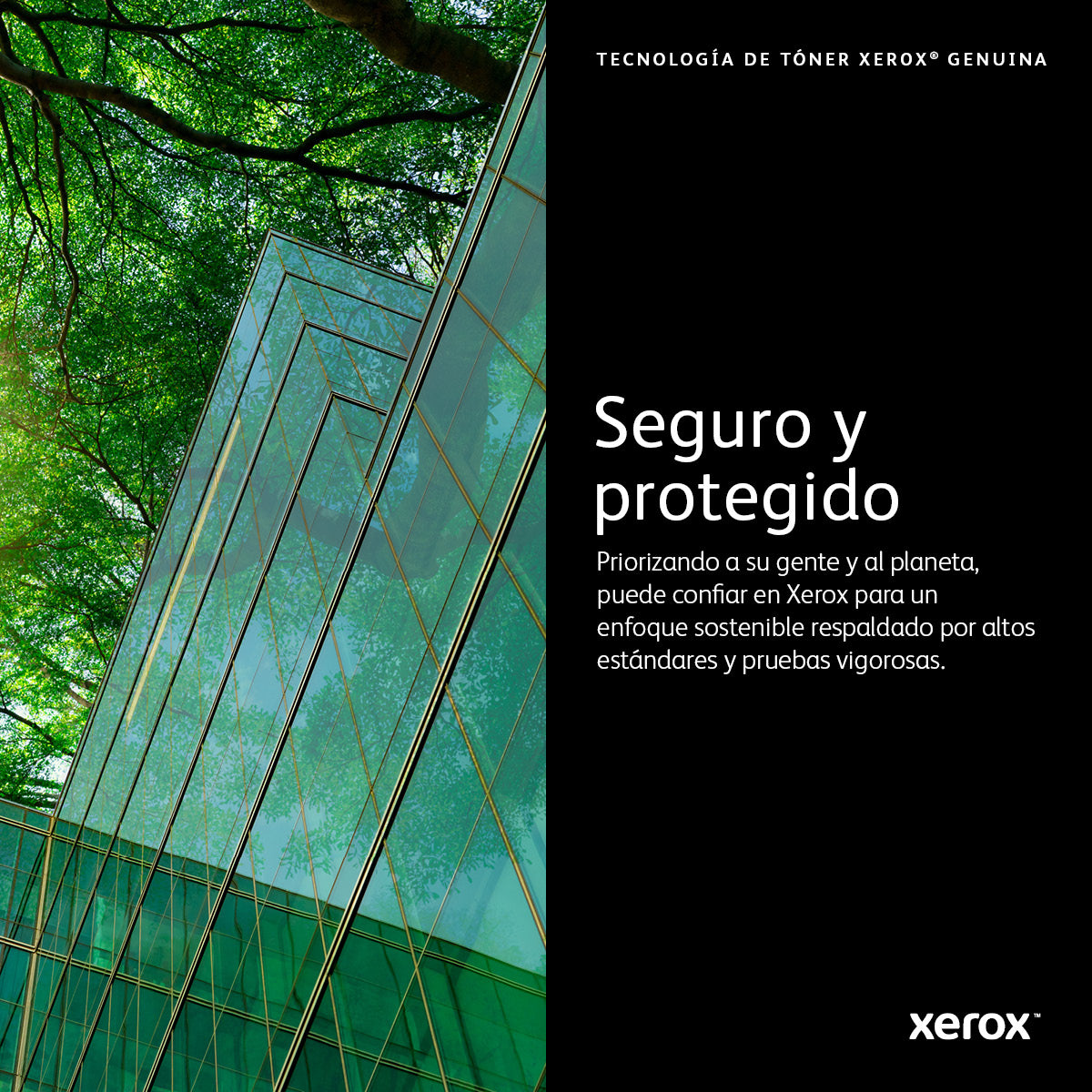 Toner Xerox versalink c400 c405 gran