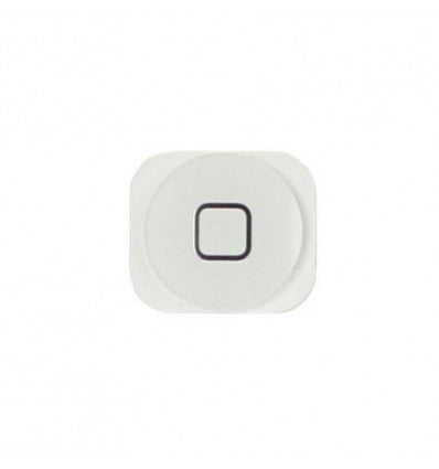 iPhone 5C boton home blanco