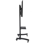 Soporte de Pie con Ruedas Approx appST05 para TV de 30-55"/ hasta 40kg - PixelPlaza