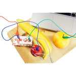 Placa electronica makey makey classic