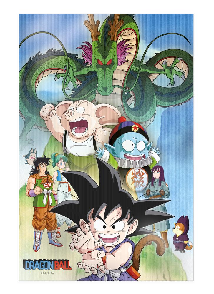 Poster 3d 38x58cm shenron and heroes