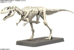 Maqueta bandai hobby plannosaurus gigantosaurus