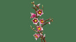 Lego botanicals ramas de magnolia