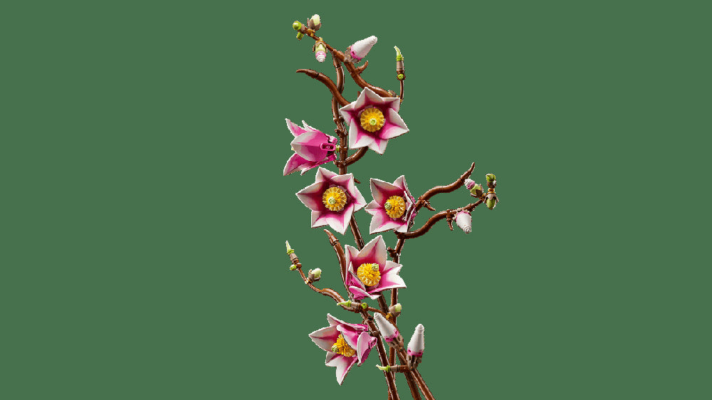 Lego botanicals ramas de magnolia