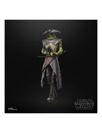 Figura hasbro star wars the black series the mandalorian and grogu embo