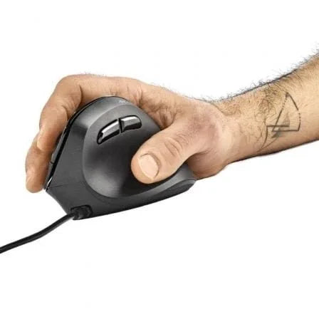 Texto alternativo de imagen