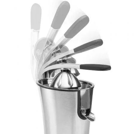 Texto alternativo de imagen