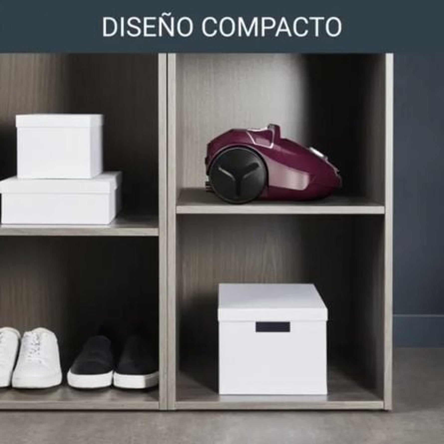 Aspirador de Trineo Rowenta Compact Power RO3969EA/ 900W