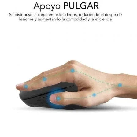 Texto alternativo de imagen