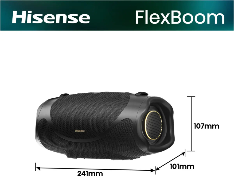 Hisense 20019368 altavoz portátil o de fiesta Altavoz portátil estéreo Negro 80 W