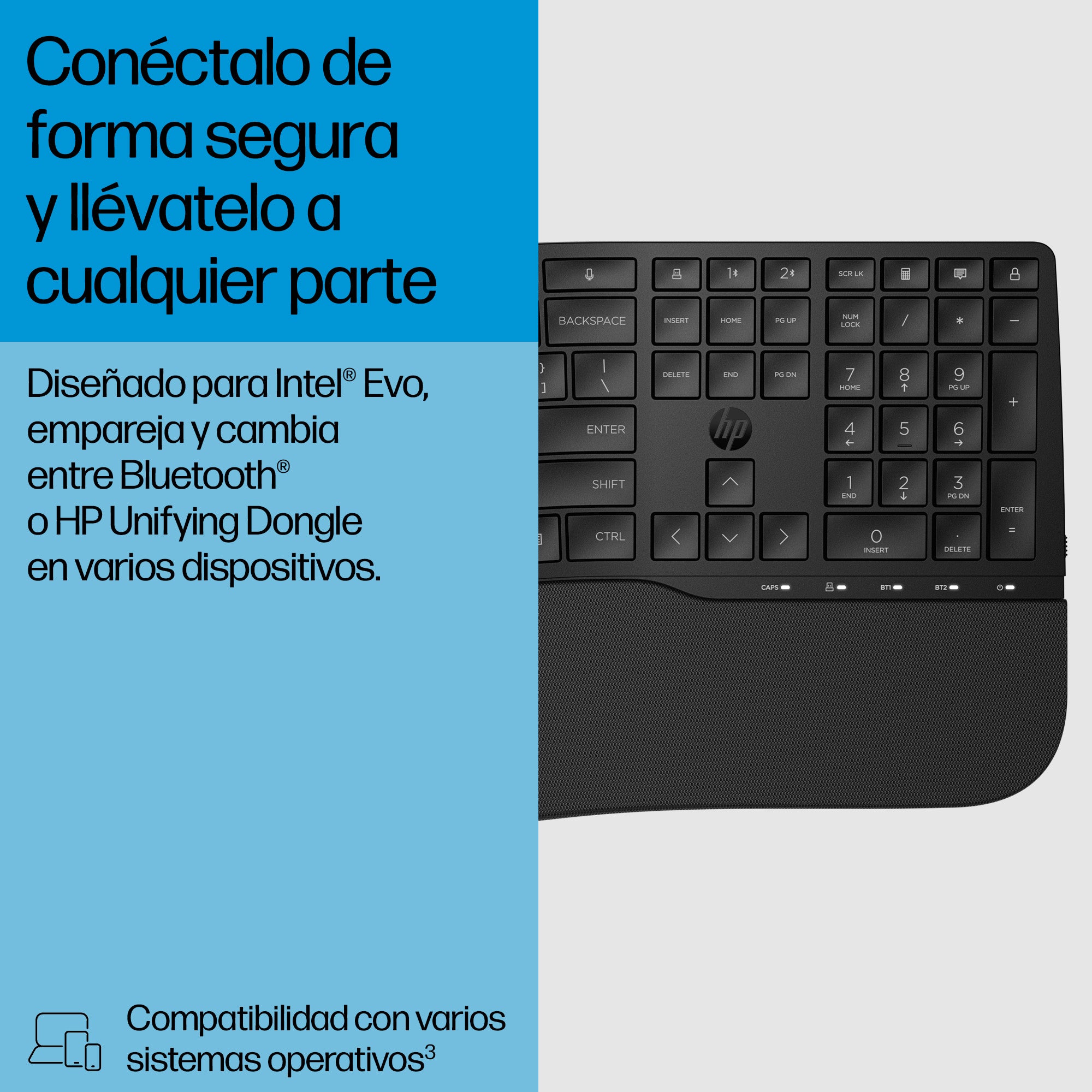 Texto alternativo de imagen