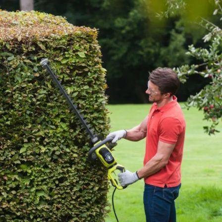 Texto alternativo de imagen