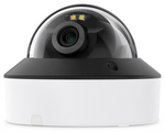 TP-Link INSIGHT S225 2.8MM cámara de vigilancia Bala (forma) Cámara de seguridad IP Exterior 1920 x 1080 Pixeles Techo