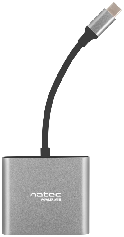 Natec Fowler Mini USB 2.0 Type-C Gris