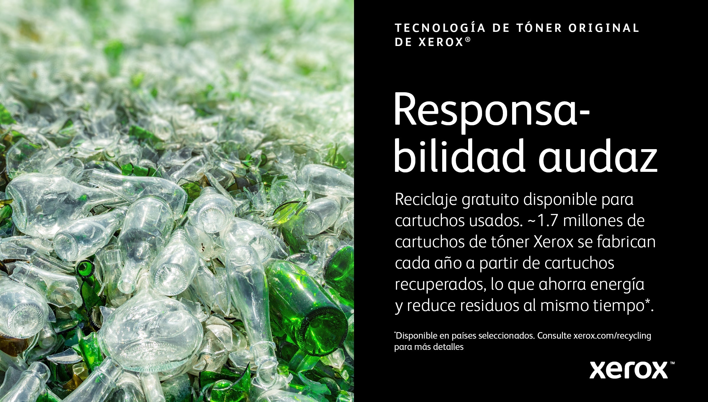 Texto alternativo de imagen