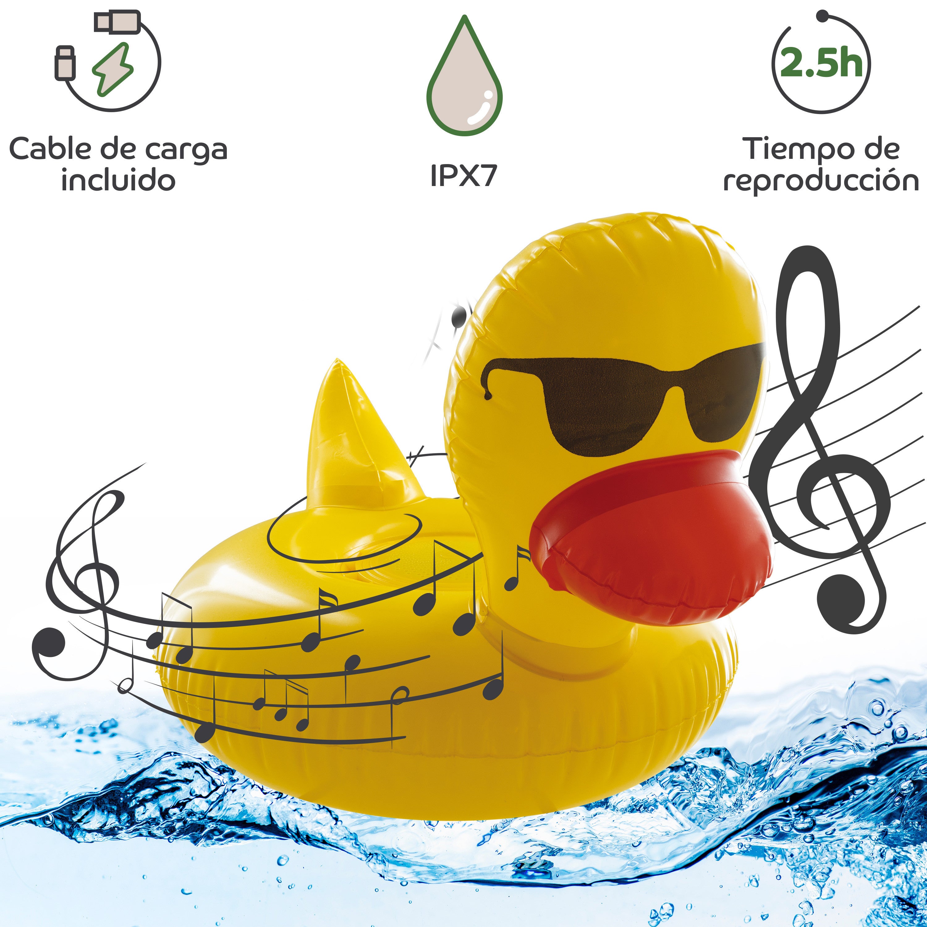 Texto alternativo de imagen