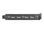 Cabezal bracket startech 4x USB 2.0