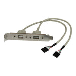 Adaptador placa USB a h 2 puertos