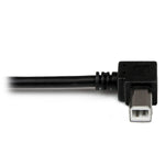 Cable USB tipo a a USB tipo b startech 3m · macho - macho · negro