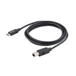 Cable USB tipo c a USB tipo b startech 2m · macho - macho · negro
