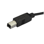 Cable USB tipo c a USB tipo b startech 2m · macho - macho · negro