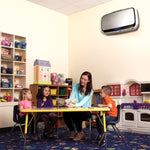 Purificador de Aire Fellowes AeraMax Pro AM4/ Filtro HEPA/ Hasta 130m2