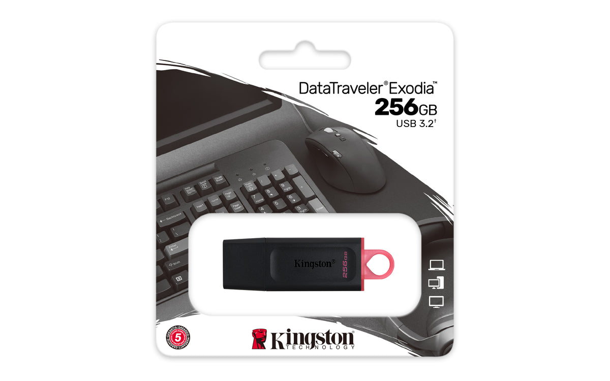 Memoria usb 3.2 Kingston 256 gb