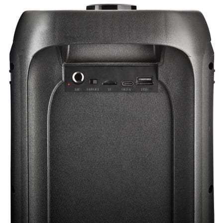 Altavoz Portable con Bluetooth NGS Wild Banger 2/ 160W