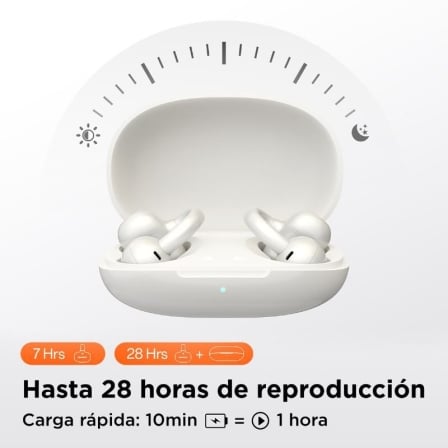 Texto alternativo de imagen