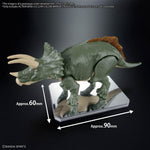 Base Exhibicion Action Base 6 Transparente con Pegatinas Espejo