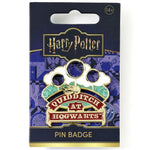 Pin Quidditch at Hogwarts Harry Potter