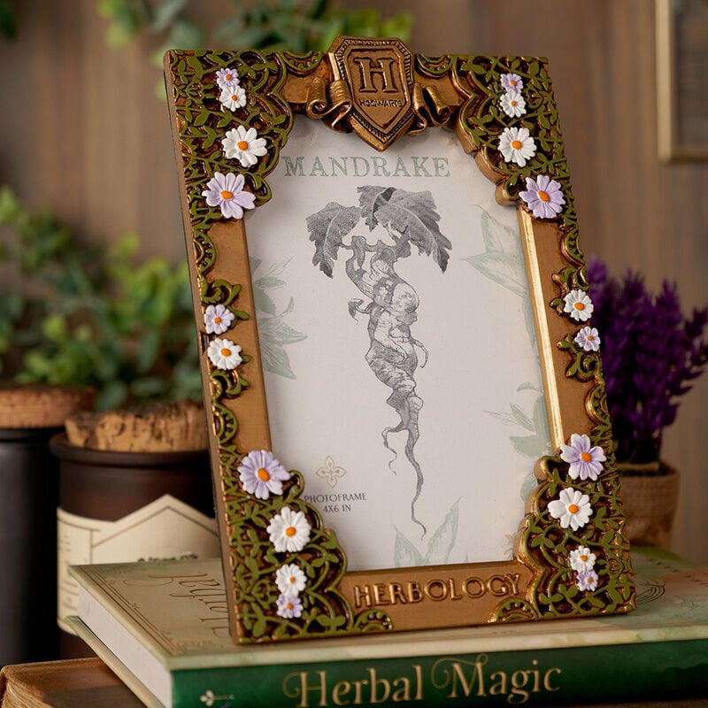 Marco fotos Herbologia Harry Potter
