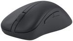 ASUS MD102 ratón Universal Mano derecha RF Wireless + Bluetooth Óptico 1600 DPI
