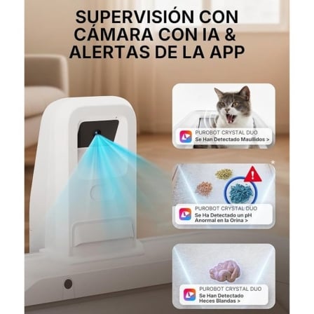 Texto alternativo de imagen