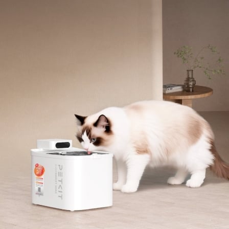 Fuente Inteligente para Mascotas Petkit EverSweet Max 2 UVC/ 3L/ Control desde APP