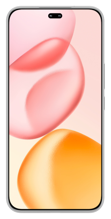 Honor 400 Pro 17 cm (6.7") MagicOS 9.0 5G 12GB 512GB 5300 mAh Gris