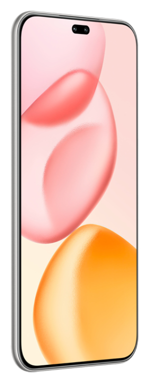 Honor 400 Pro 17 cm (6.7") MagicOS 9.0 5G 12GB 512GB 5300 mAh Gris